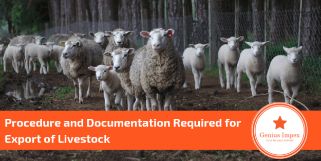 Procedure and Documentation Required for Export of Livestock