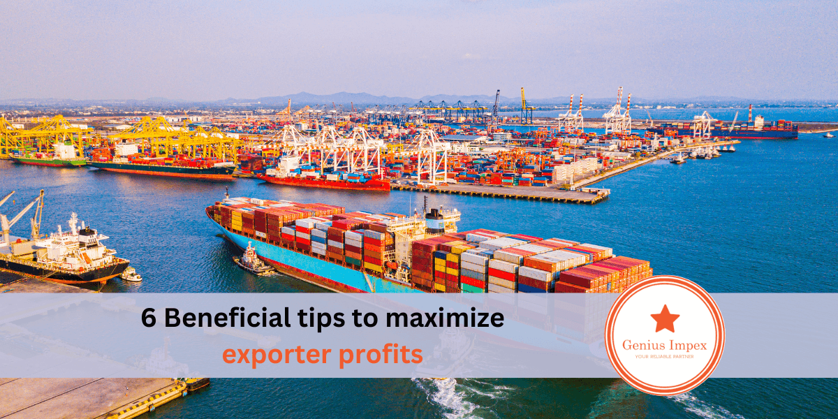 6 Beneficial tips to maximize exporter profits