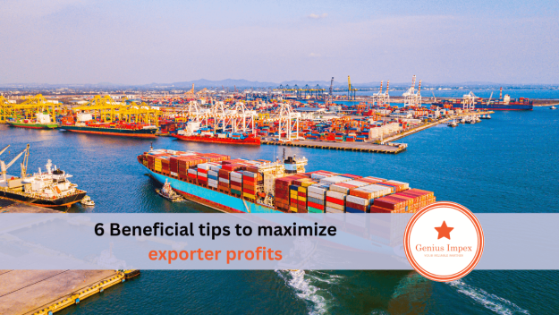 6 Beneficial tips to maximize exporter profits 6 Beneficial tips to maximize exporter profits