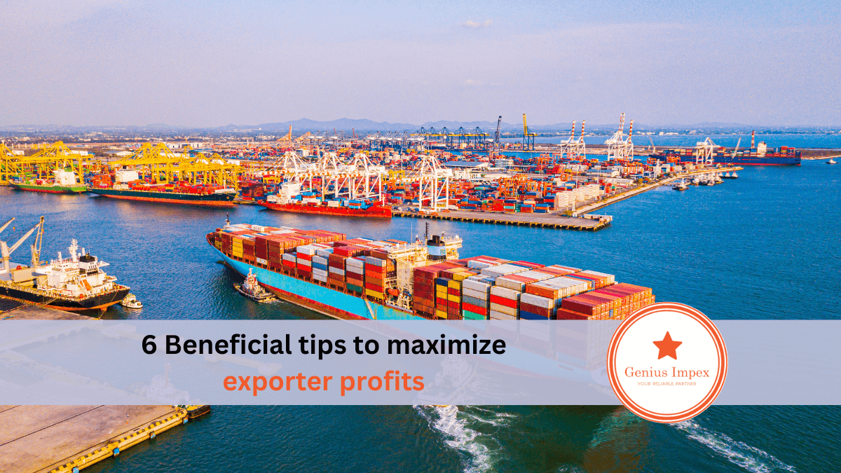 6 Beneficial tips to maximize exporter profits