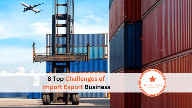 8 Top Challenges of Import Export Business 8 Top Challenges of Import Export Business