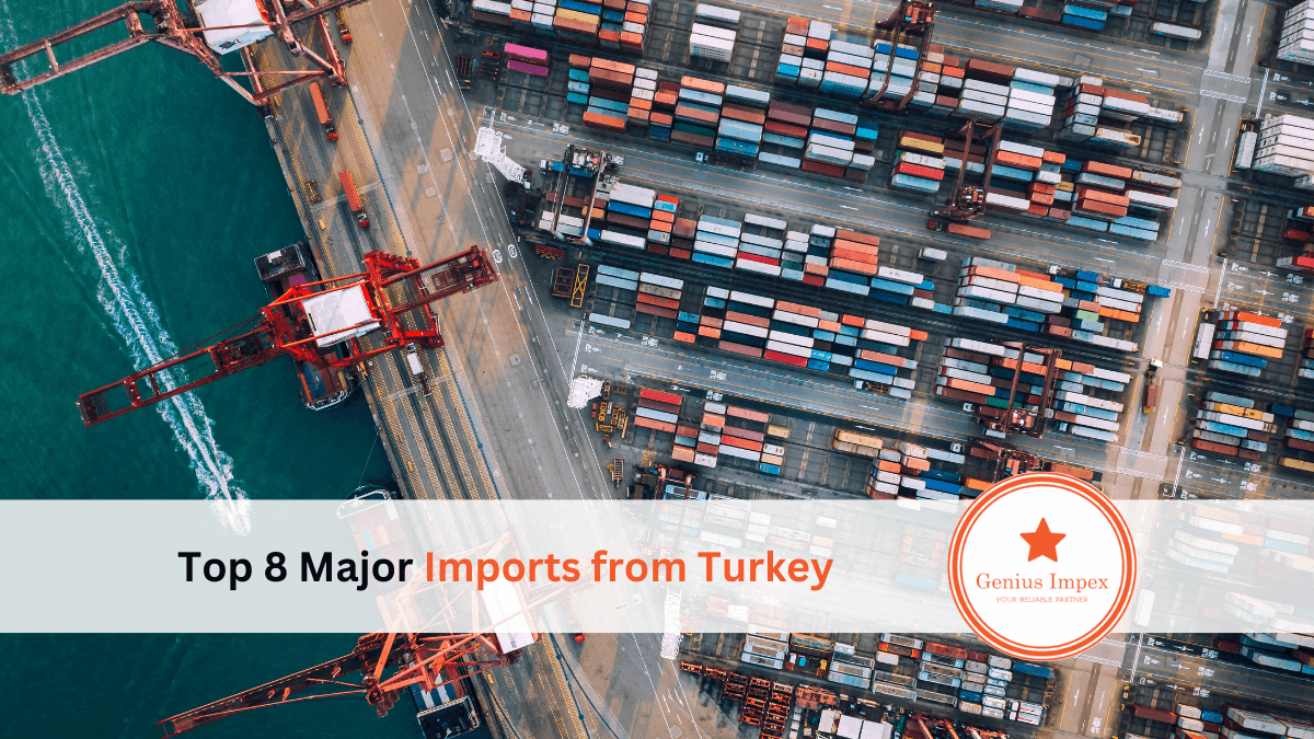 Top 8 major imports from Turkey