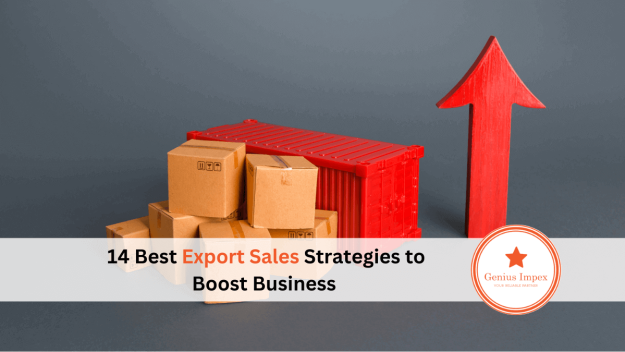 14 Best Export Sales Strategies to Boost Business 14 Best Export Sales Strategies to Boost Business