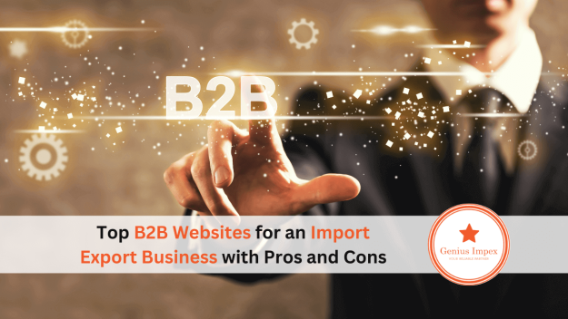 Best B2B Websites for an Import Export Business with Pros and Cons
