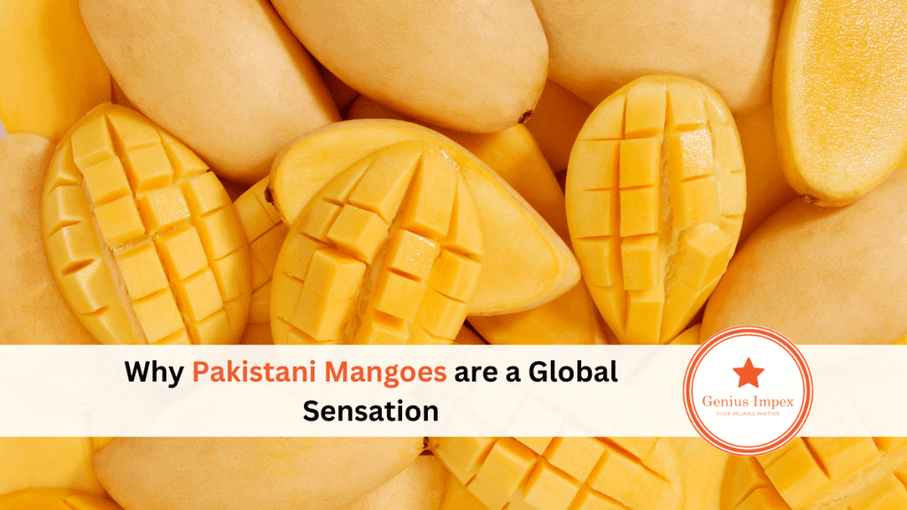 Why Pakistani Mangoes are a Global Sensation