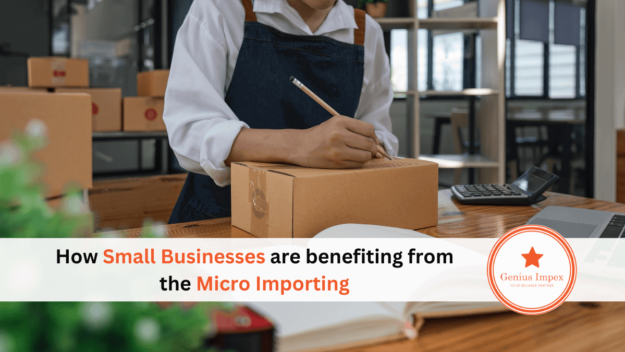How Small Businesses are benefiting from the Micro Importing How Small Businesses are benefiting from the Micro Importing
