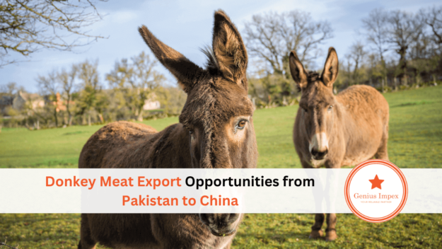 Donkey Meat Export Opportunities from Pakistan to China Donkey Meat Export Opportunities from Pakistan to China